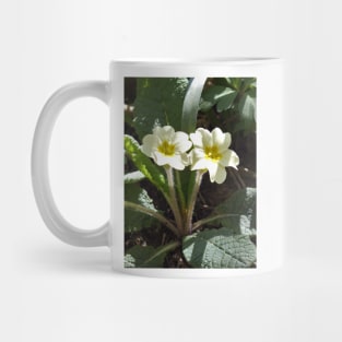 Yellow Primrose Flower Mug